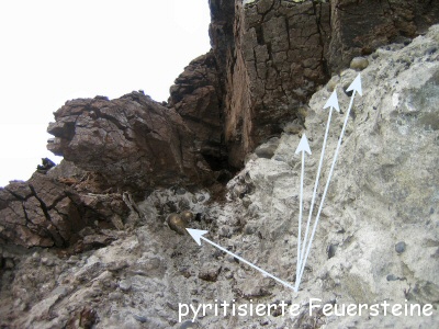 Fossiliensammler U.Lieven